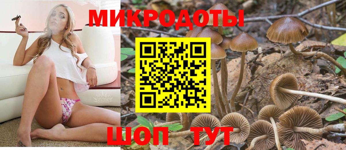 Псилоцибиновые грибы ЛСД  Вход с VPN  Сегежа 